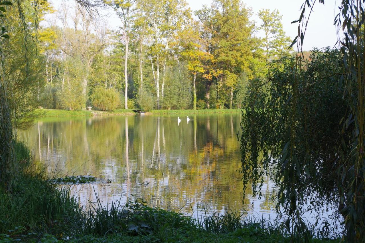 Le Domaine De Prin Bed & Breakfast Serzy-et-Prin Dış mekan fotoğraf