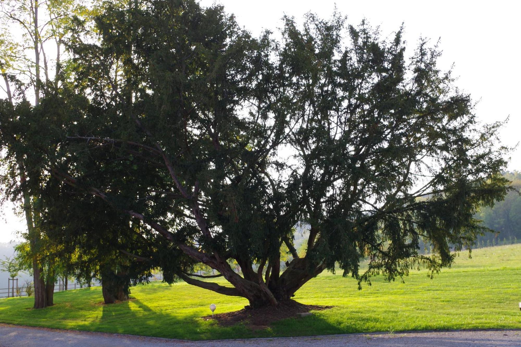 Le Domaine De Prin Bed & Breakfast Serzy-et-Prin Dış mekan fotoğraf